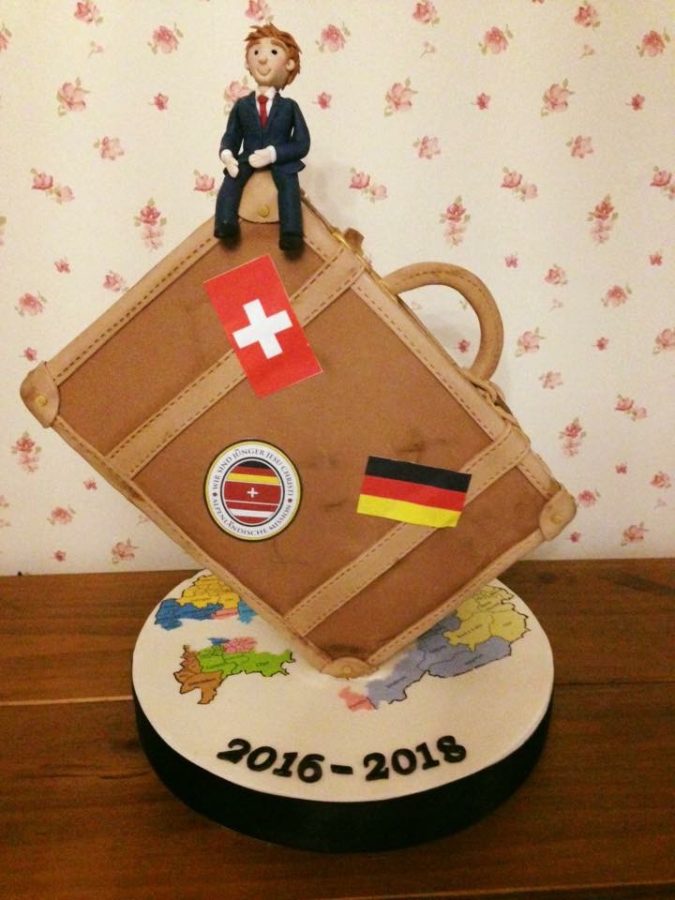 Suitcase Handmade Cake in Somerset
